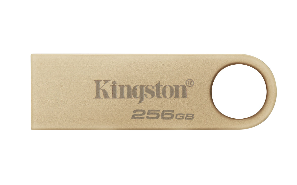 Kingston Technology DataTraveler 256GB 220MB/s Metal USB 3.2 Gen 1 SE9 G3 | SeeMyMails Marketplace